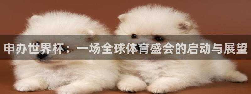 世界杯欧洲区世预赛赛程:申办世界杯:一场全球体育盛会的启动与展望