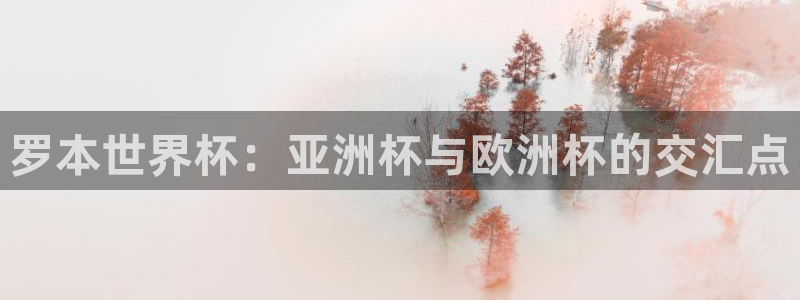 世界杯球队:罗本世界杯:亚洲杯与欧洲杯的交汇点