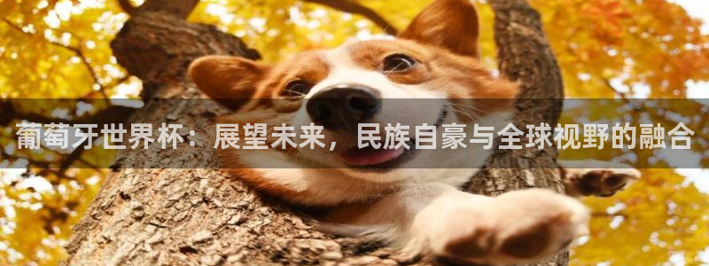 足球世界杯2026年赛程时间表:葡萄牙世界杯:展望未来,民族自豪与全球视野的融合