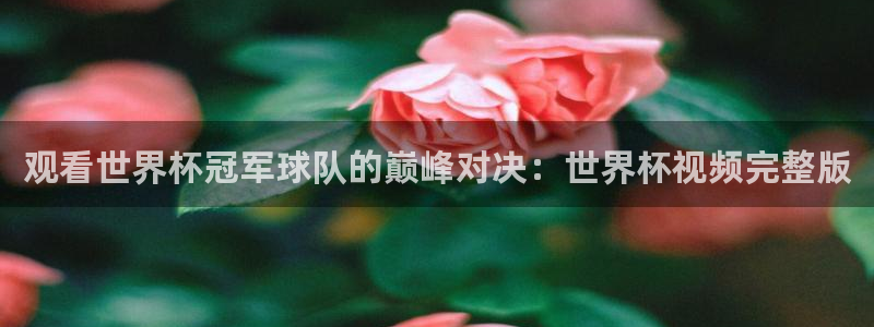 2026世界杯亚洲区预选赛赛程:观看世界杯冠军球队的巅峰对决:世界杯视频完整版