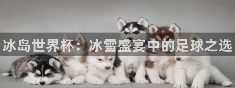 世界杯直播观看:冰岛世界杯:冰雪盛宴中的足球之选