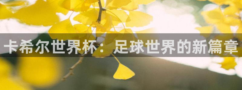 世界杯亚洲区预选赛赛程:卡希尔世界杯:足球世界的新篇章