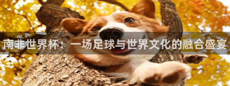 世界杯直播高清:南非世界杯:一场足球与世界文化的融合盛宴