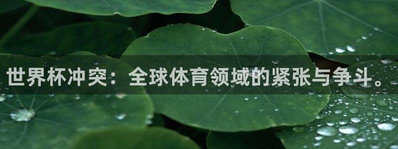 西超杯直播:世界杯冲突:全球体育领域的紧张与争斗。