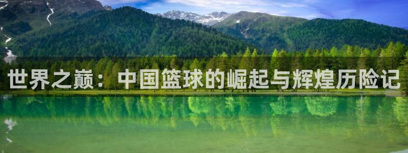 世界杯2026预选赛:世界之巅:中国篮球的崛起与辉煌历险记