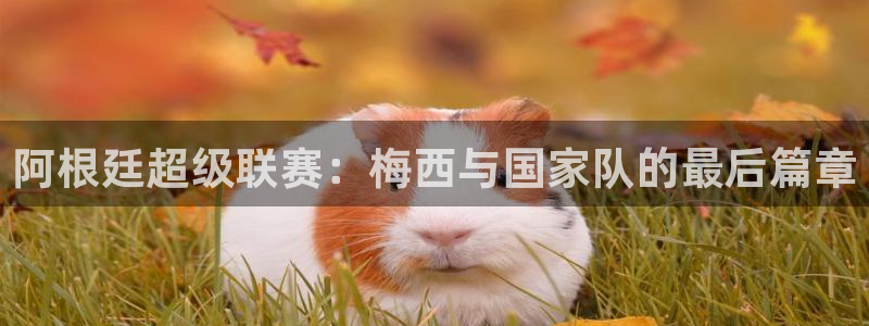 2026世界杯亚洲区预选赛赛程:阿根廷超级联赛:梅西与国家队的最后篇章