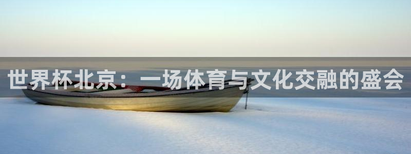 足球世界杯:世界杯北京:一场体育与文化交融的盛会
